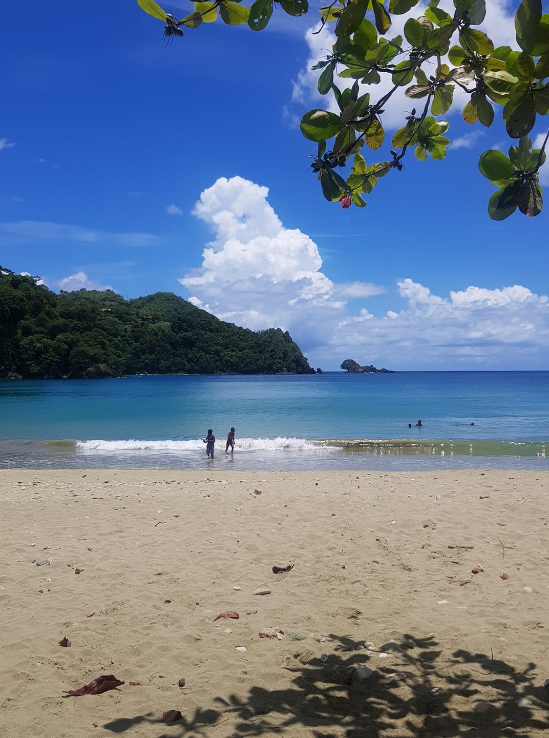 Castara Bay